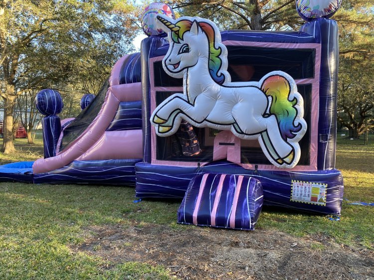 Friendswood's #1 Premier Moonwalk & Bounce House Rentals