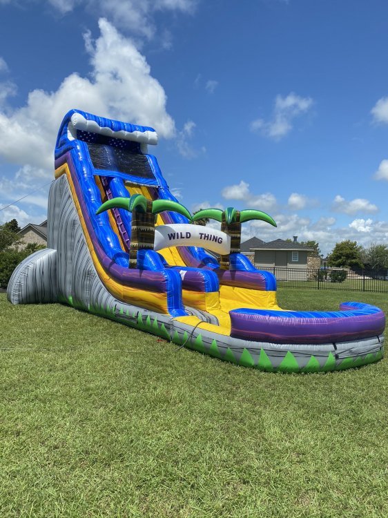 22Ft Wild Thing Waterslide