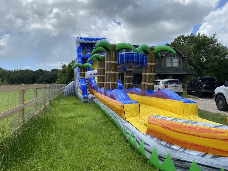 22Ft Wild Thing Mega Slide