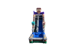 15FT Block Party Waterslide